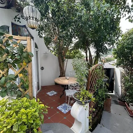 Arabesque Lacco Ameno (Isola d'Ischia)